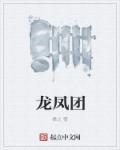 龙凤团茶又叫什么名字