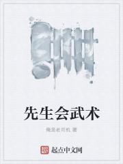 武术先生观后感300字