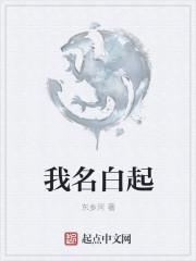 白起又名什么