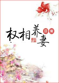 权相养妻日常圆房po九斛珠