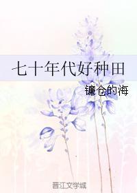 七十年代好种田txt书包网