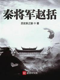 秦将军赵括