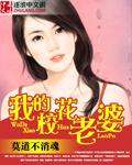 我的校花老婆楚天