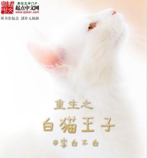 白猫王子是一只怎样的猫