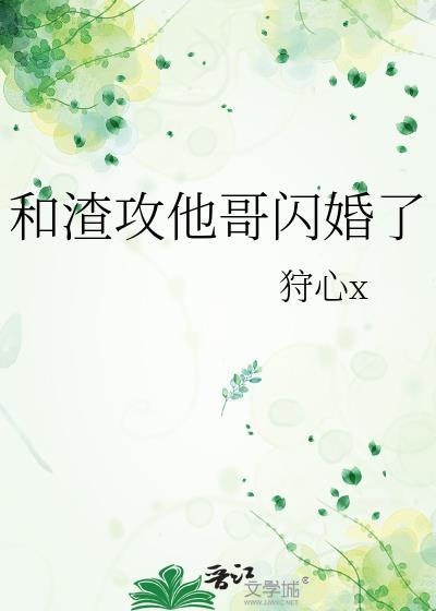 和渣攻他哥闪婚了百度