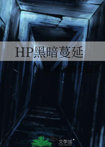 hp穿过黑暗懒兮