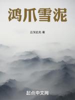 鸿爪雪泥袁志鸿修道文集PDF