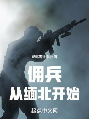 我在缅北当佣兵无弹窗